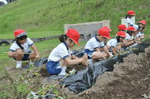 Photo_7
