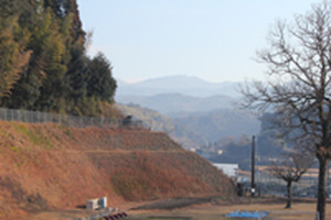 Photo_2