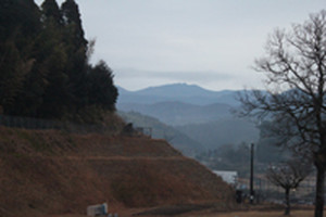 Photo_2