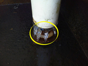 Photo_8