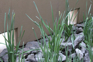 Photo_4