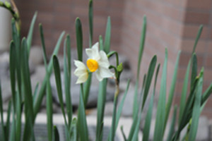Photo_5