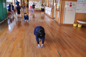 Photo_3