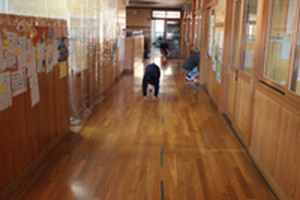 Photo_5