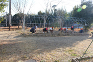 Photo_4