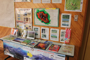 Photo_2