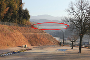 Photo_2