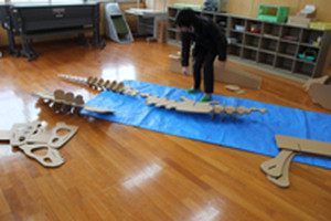 Photo_2