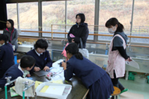 Photo_5