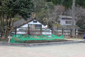Photo_4