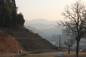 Photo_2