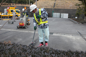 Photo_2